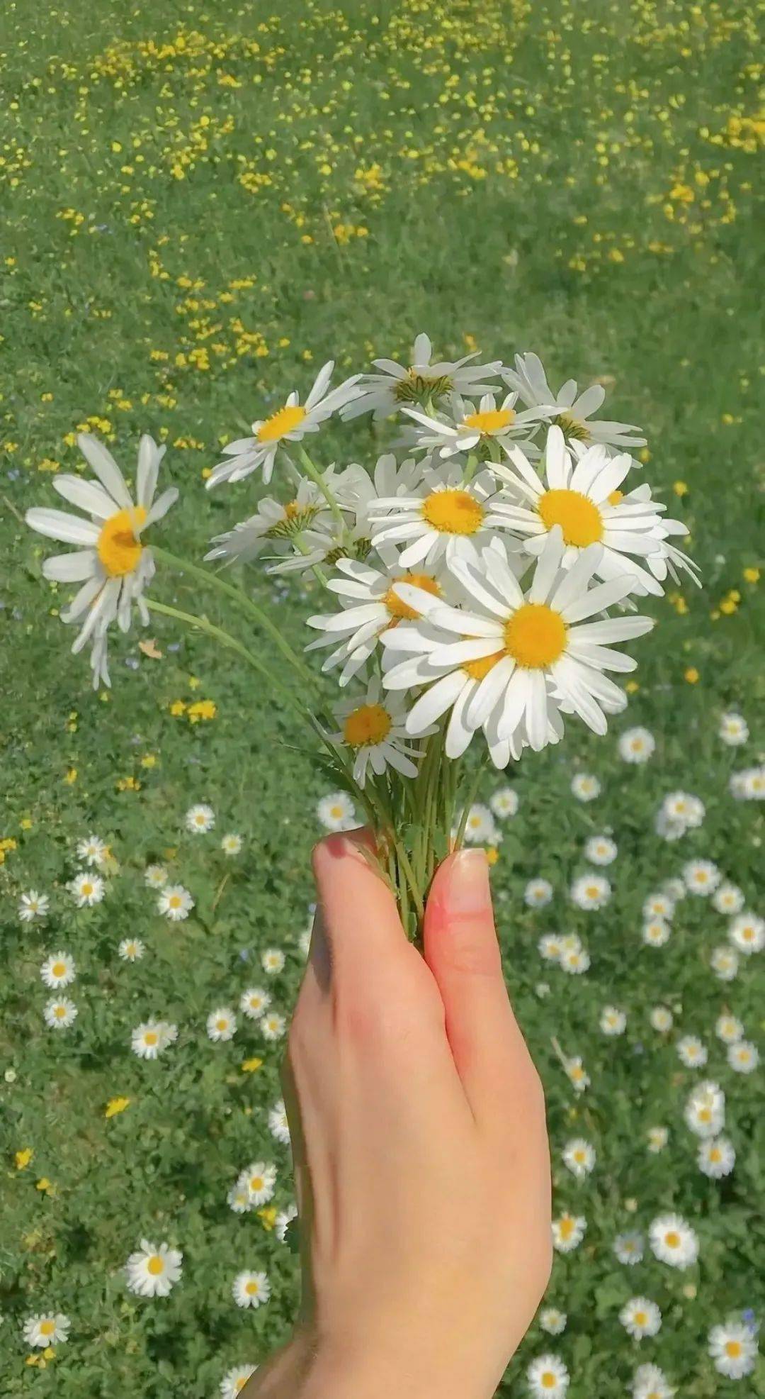 各位死心吧!《给他爱6》官方没想公布!呵呵!