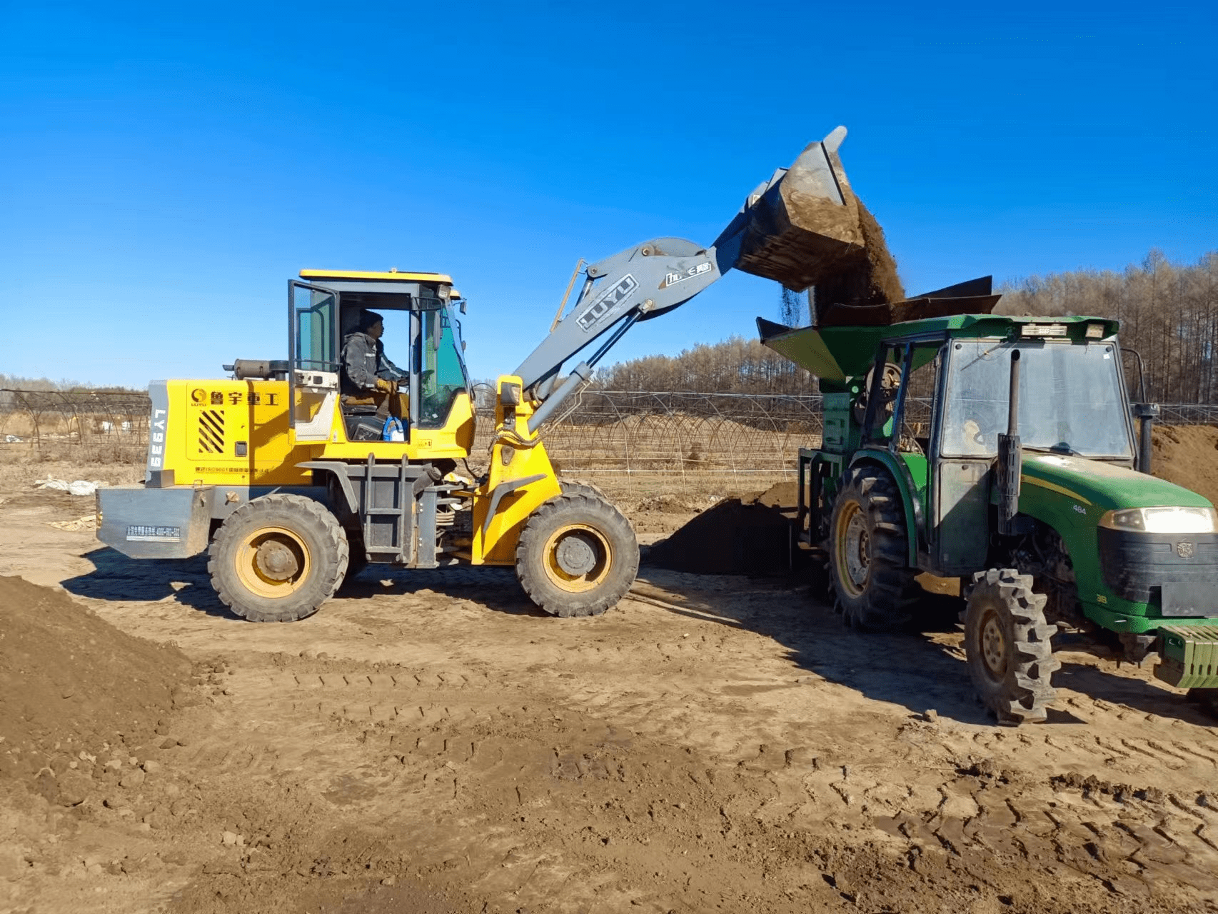 战鹏飞 摄)在古城管理区的育秧基地内,种植户正紧张有序的进行筛土摆