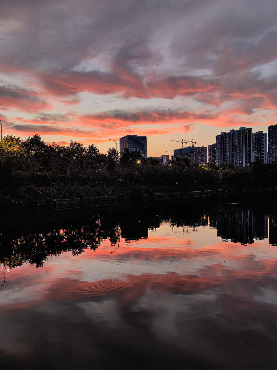 寻找山东最美大学|中国石油大学(华东)张茗竹:《金秋石大》_作品_律动