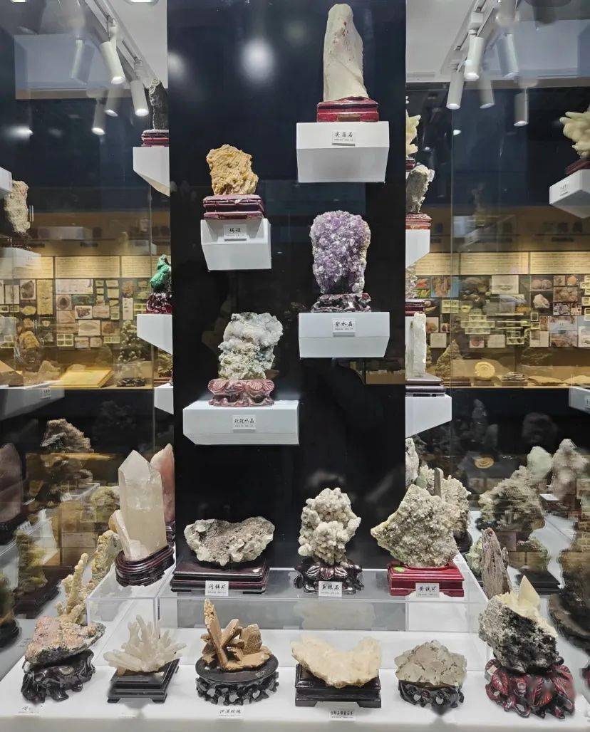 和丁然小颖一起探访柳江地学博物馆!_秦皇岛_地质_地球