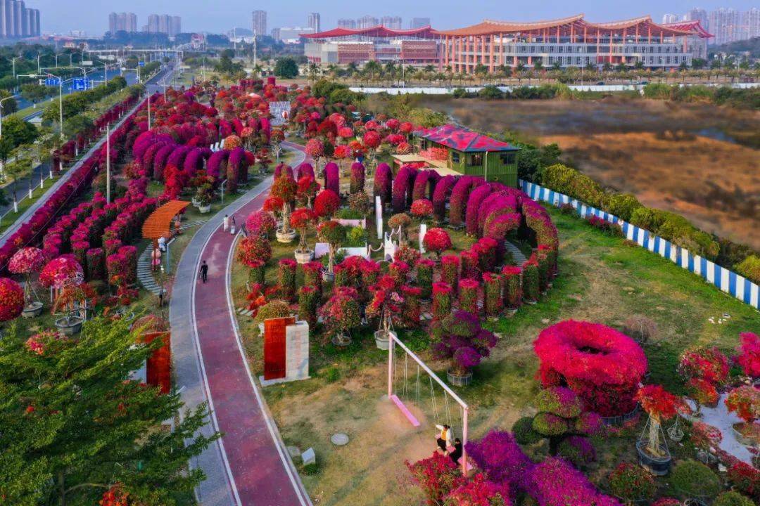 《晒紫菜》16.《暮色龙江岁月》15.《全景水仙花海》14.