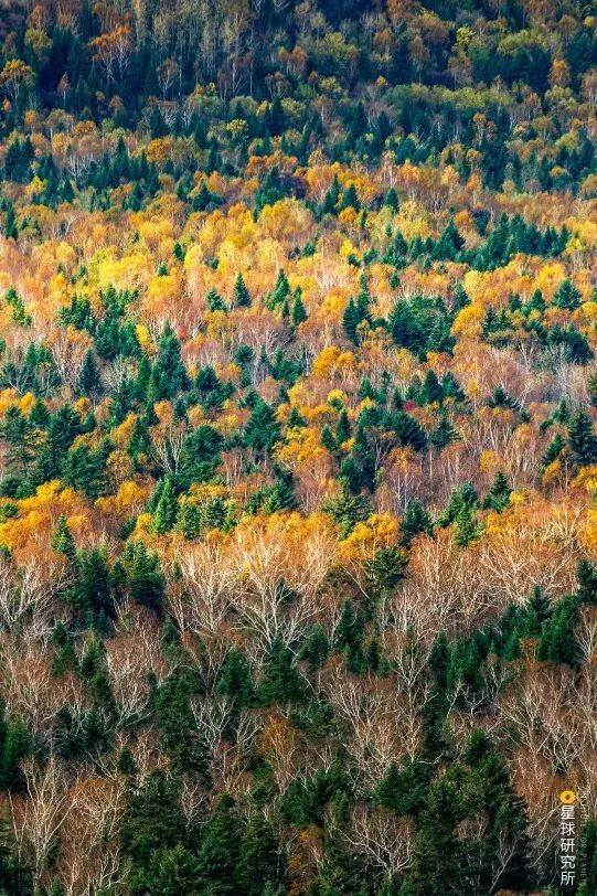 民族交往铸丹青_曹利用_鹿图_宋太宗