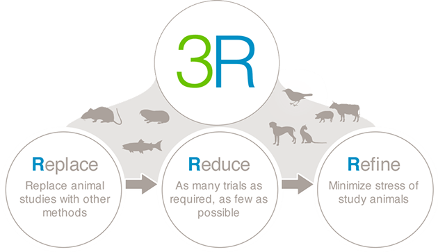 在实验动物的使用和研究中要坚持「3r」原则,善待活体动物,减少痛苦和