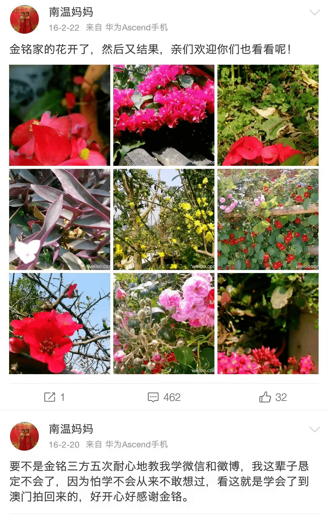 "李金铭嫁到农村"上热搜:调教出一个好媳妇,就从让她扫猪圈开始_大嫂