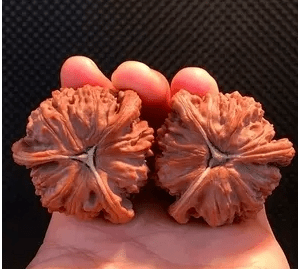 8888元买对文玩核桃假三棱,还大呼真便宜,太有才!_购物_价格_玩友