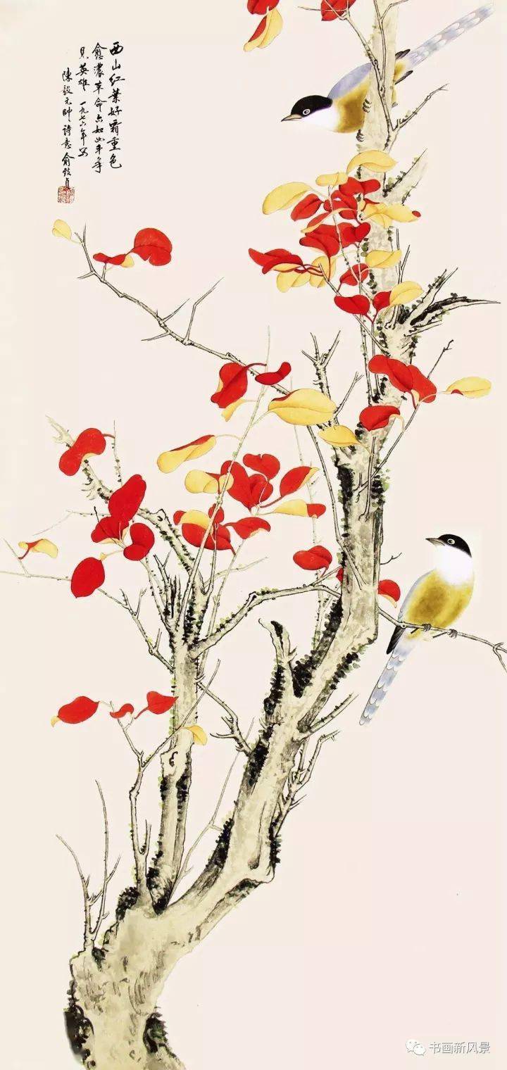 红叶小鸟56幅，漂亮极了！_搜狐网