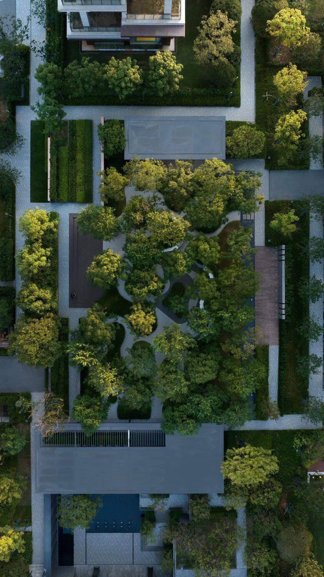 社区中心花园不止大草坪!还有这些处理手法_空间_摄影_景观