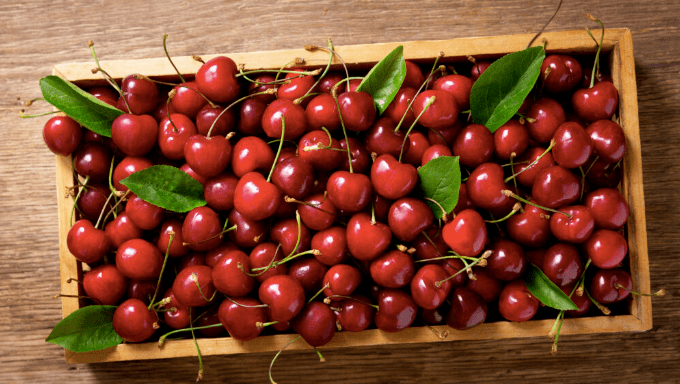 chile to export 95 million cherry boxes in 2023-24_season_the