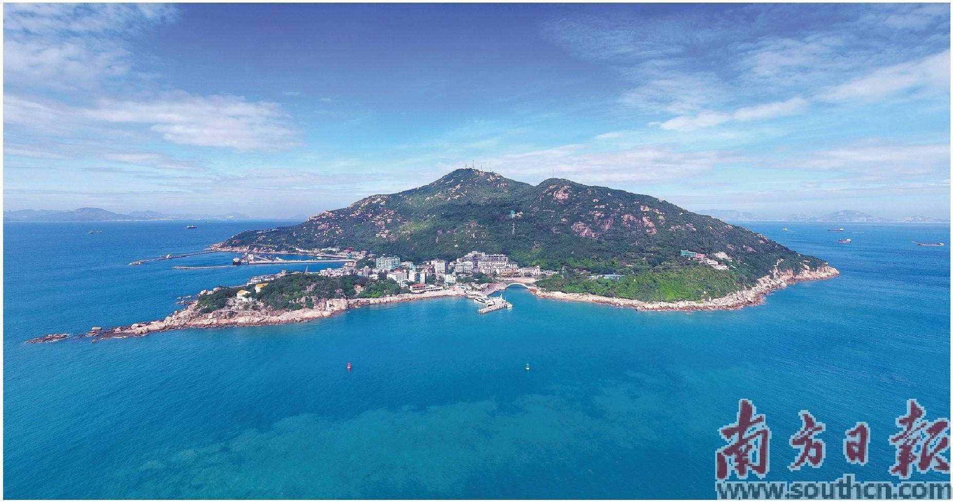 "归雁"还巢变"头雁" 海岛渔村展新颜_陈俊杰_工作_新村