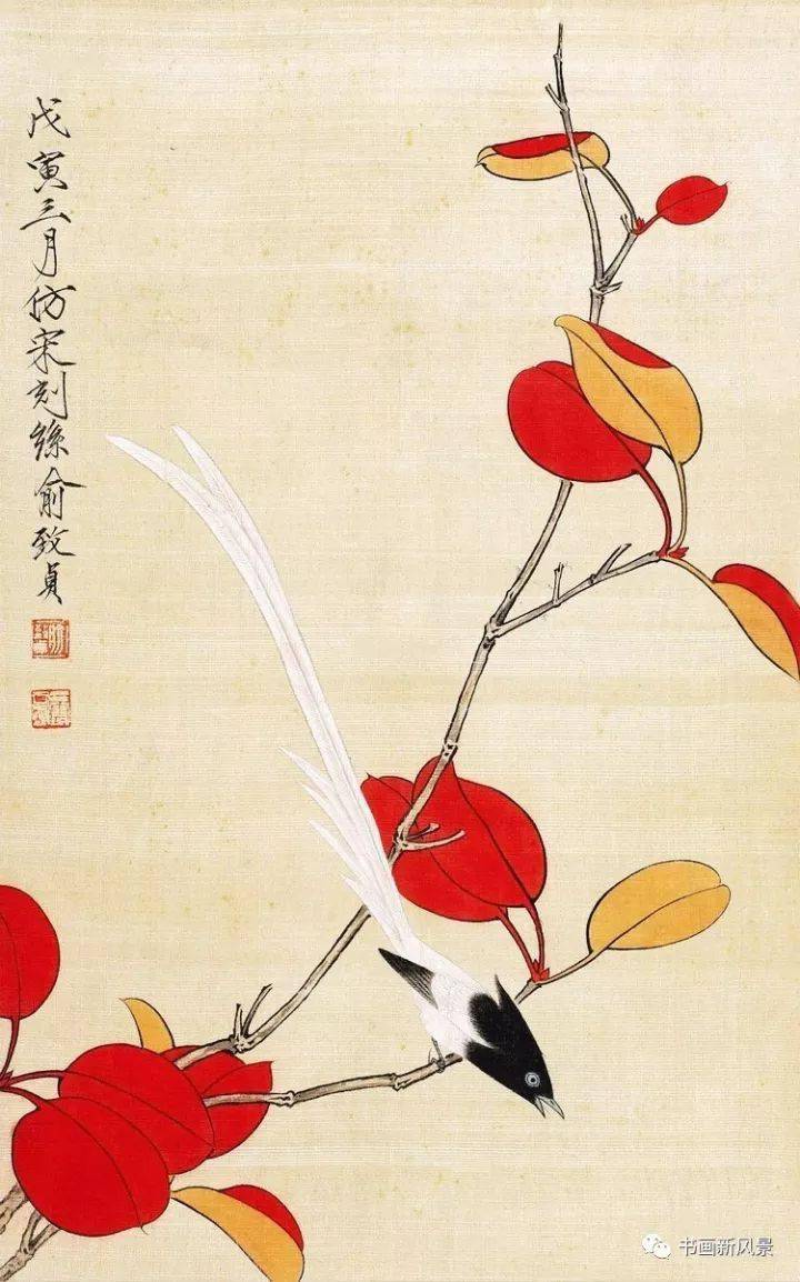红叶小鸟56幅，漂亮极了！_搜狐网