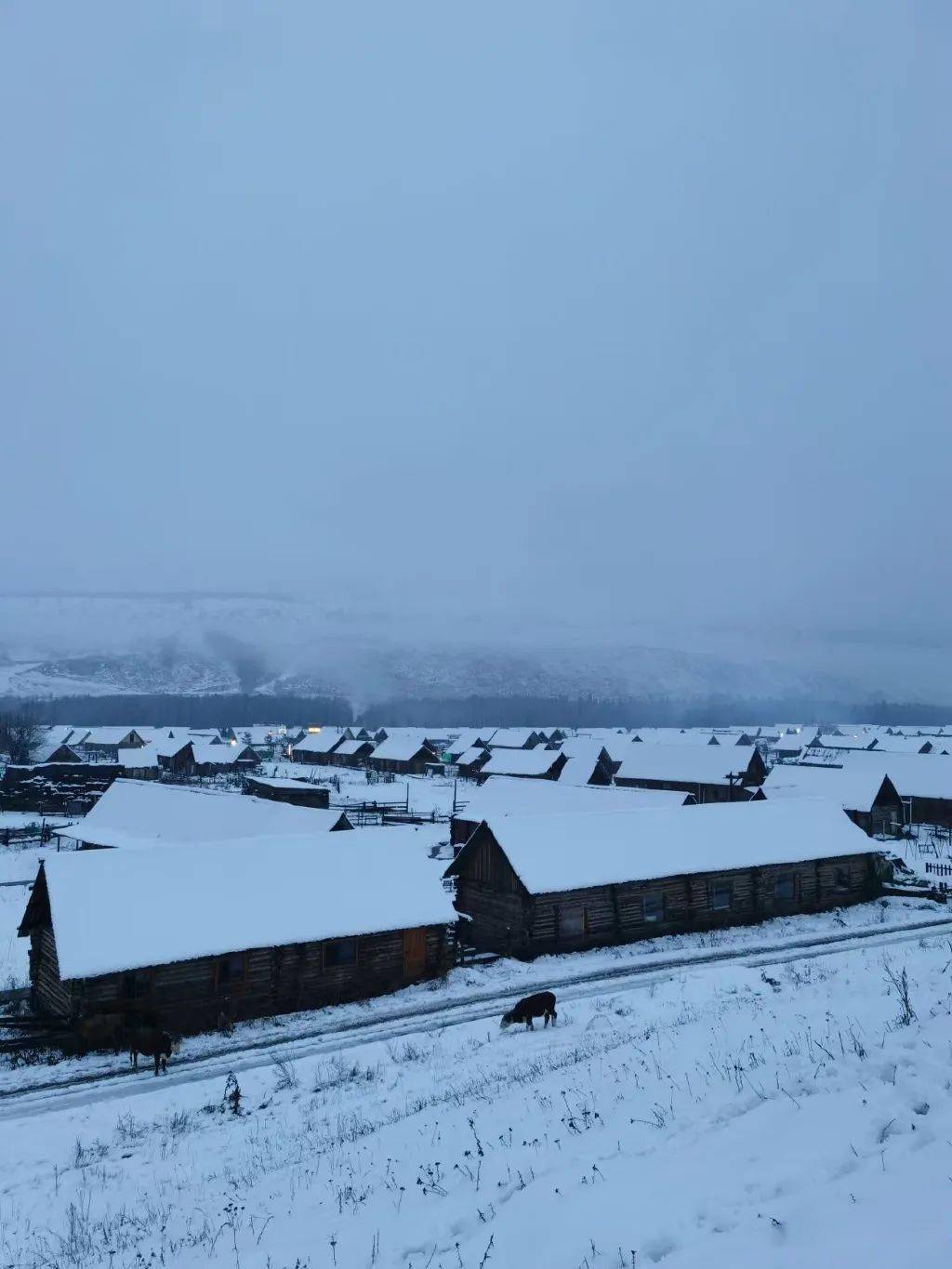 来源_阿勒泰旅游局_滑雪