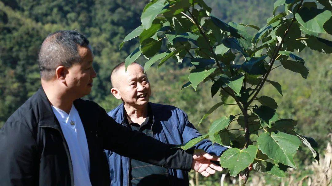 【乡村振兴61共桐富裕】村级等价代收,免除后顾之忧 | 贵定县山桐子