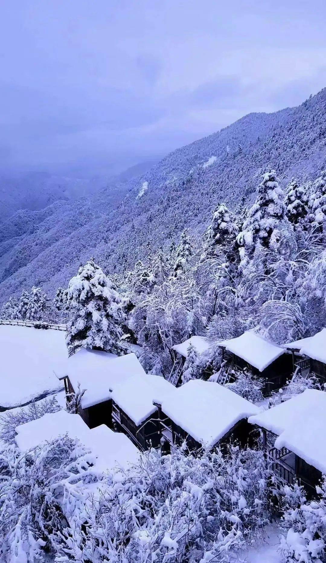 冬天一定要去太白山看一次雪!