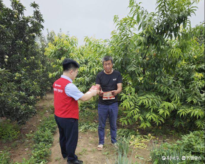 阳谷农商银行：持续探索支农支小服务新模式 贷款 主体 网格