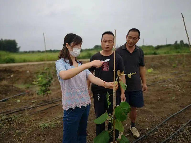 喜迎妇代会 代表"星"风采 | 戢小梅:奔跑在乡村振兴路上的农科追梦人