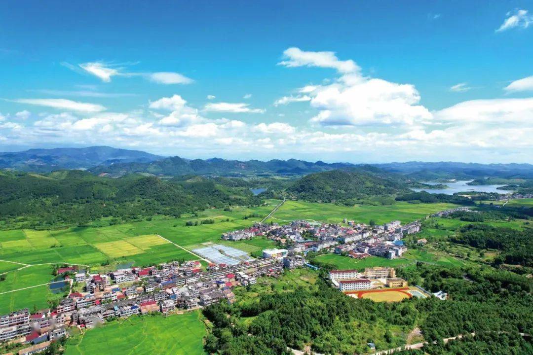 钟小辉:贯彻全会精神 建设"和美高岚"_发展_招商_高岚乡