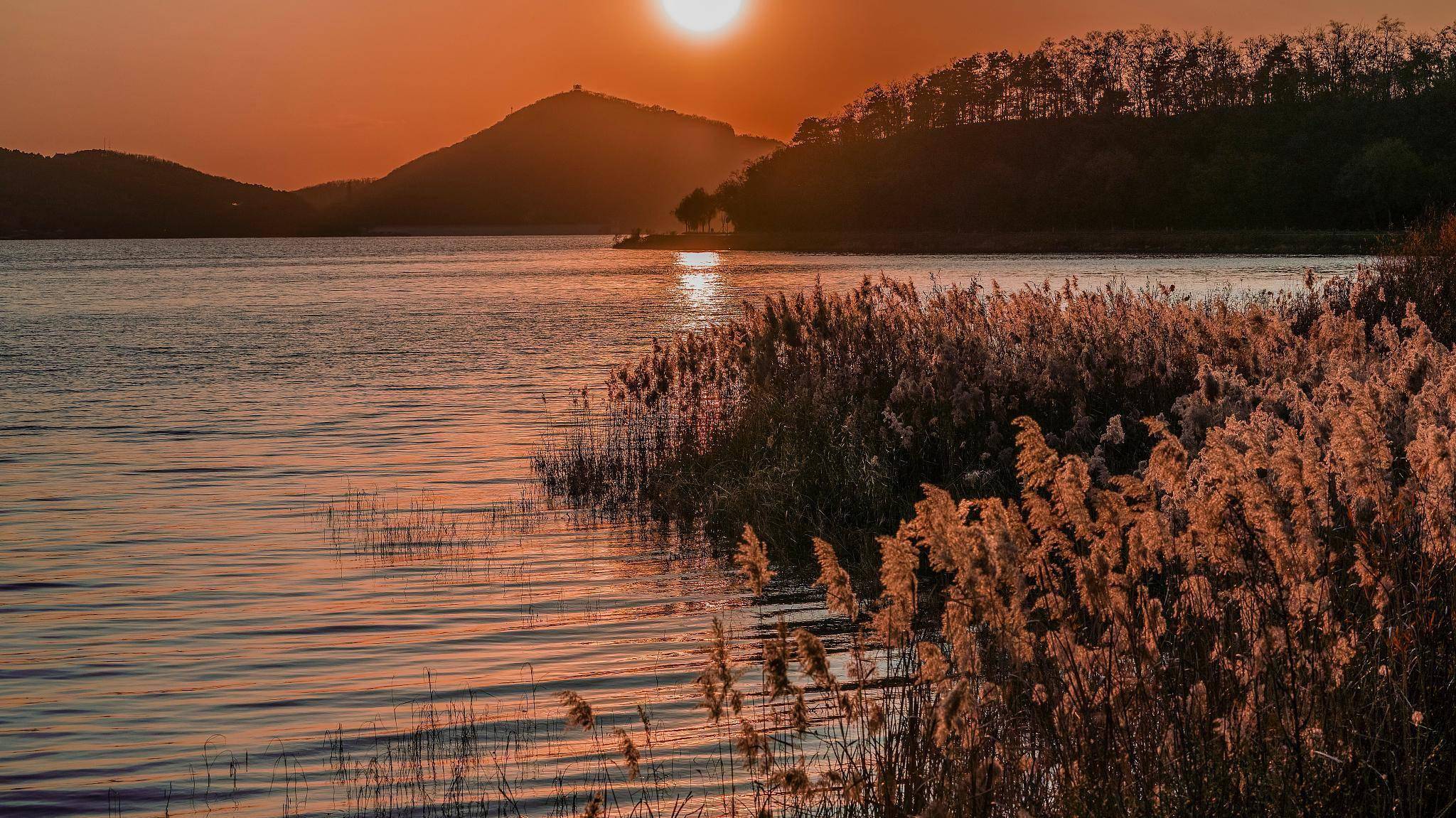 白居易漫步浔阳江畔,写下一首早冬诗,达观超脱,温暖明亮_江州_曲江池