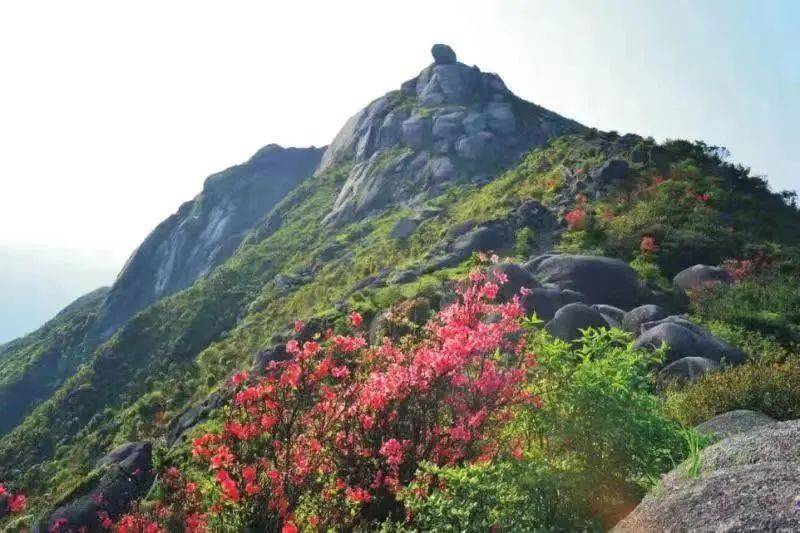 龙岩人的登高攻略!秋日爬山有这些好去处→_looking_梅花山_for