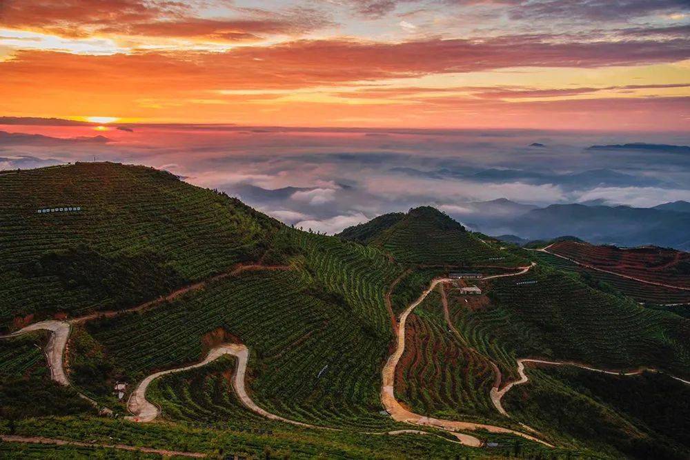 【11月12日发团】[双11特惠 ]好礼相送,安溪国心绿谷 清水岩纯玩1日游