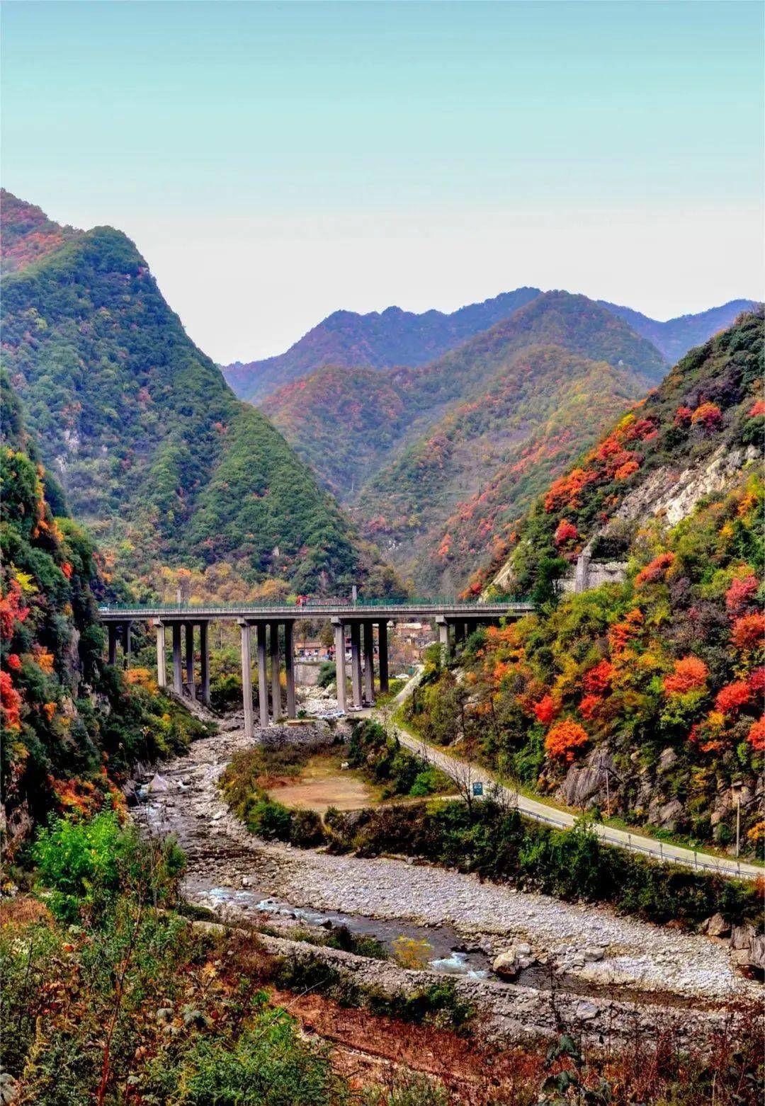 安泽黄花岭风景区攻略图片