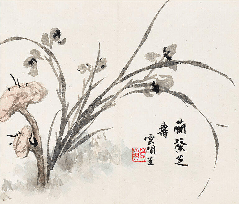 白蕉書畫小冊:水墨蘭花,氣質非凡!_雲間_小品_白雲