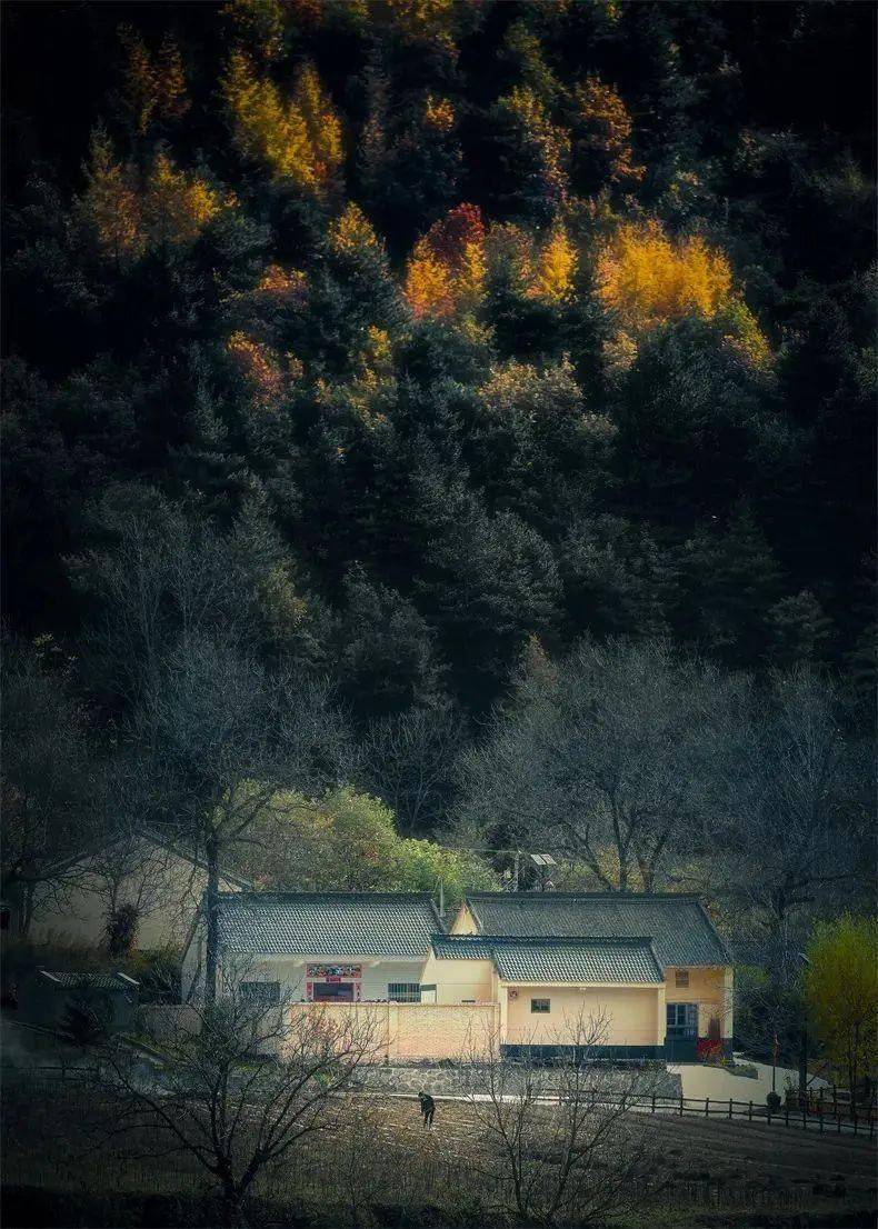 秦岭_国道_黄花岭