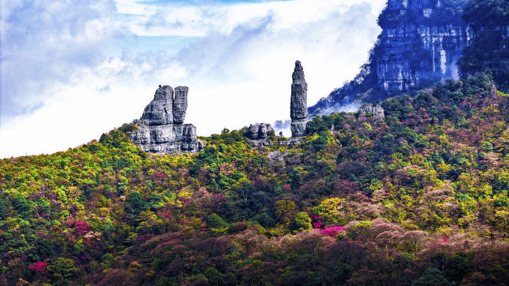 南川:金佛山彩林美如画卷_景区_树叶_山脉