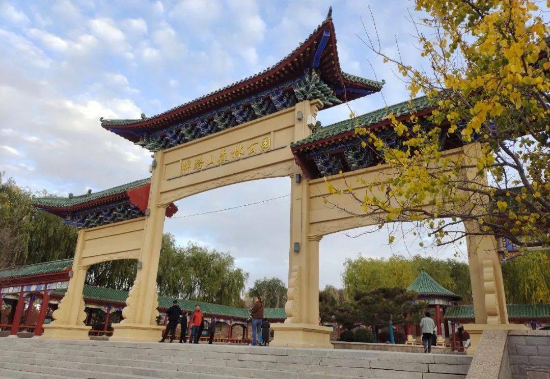 海原县_活动_文化