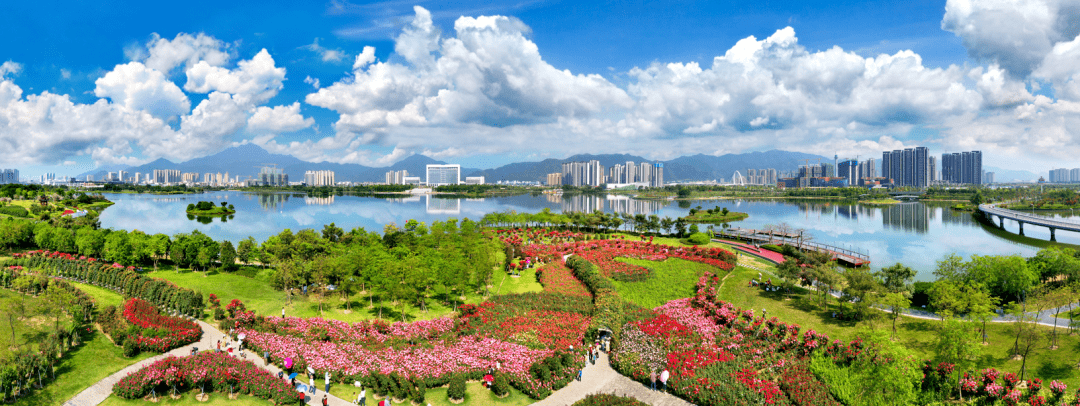 砚阳湖铁人三项赛即将开赛!_肇庆_湖景区_大道