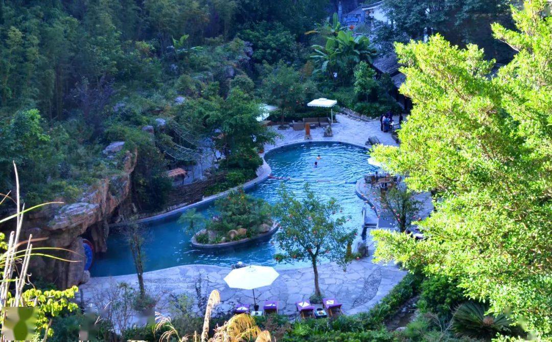 自带滤镜的绝美银杏村,惬意舒适的避世古镇,森林火山温泉,赏秋顶配