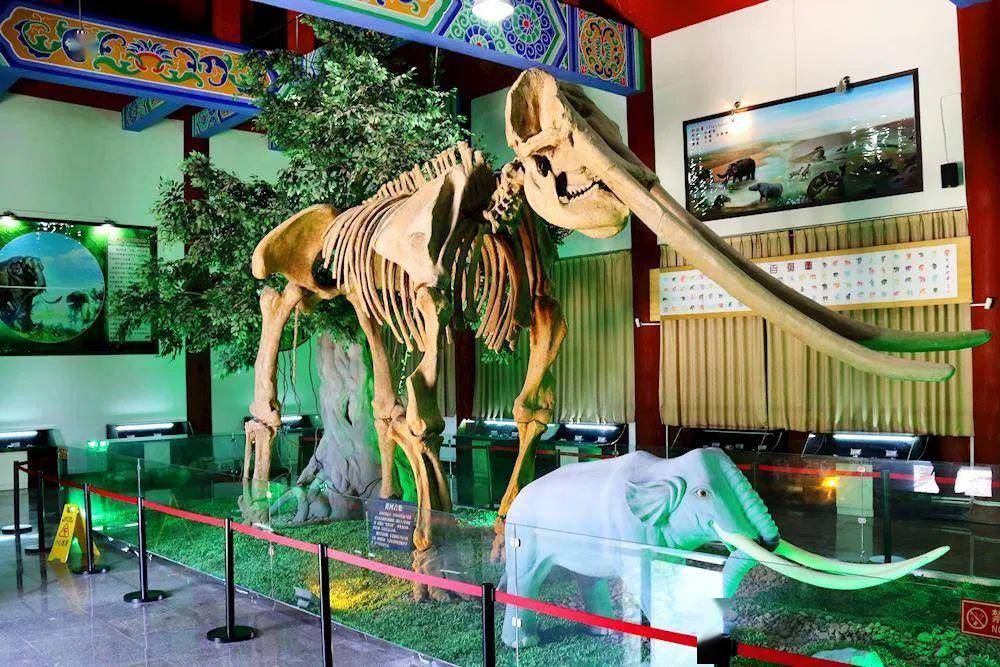 博物馆被誉为"可移动的敦煌莫高窟"到合水记得一定打卡这些景点花溪谷