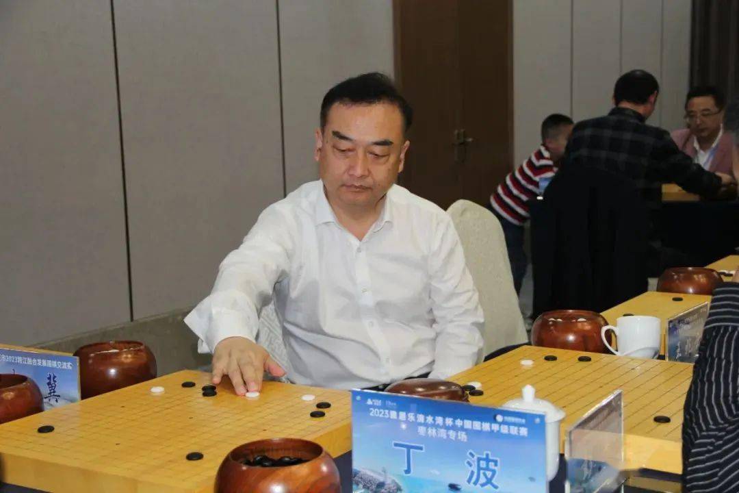 丁波陈盈王香如此外,由新浪,弈客,弈城组成的新闻媒体围棋队与仪征市