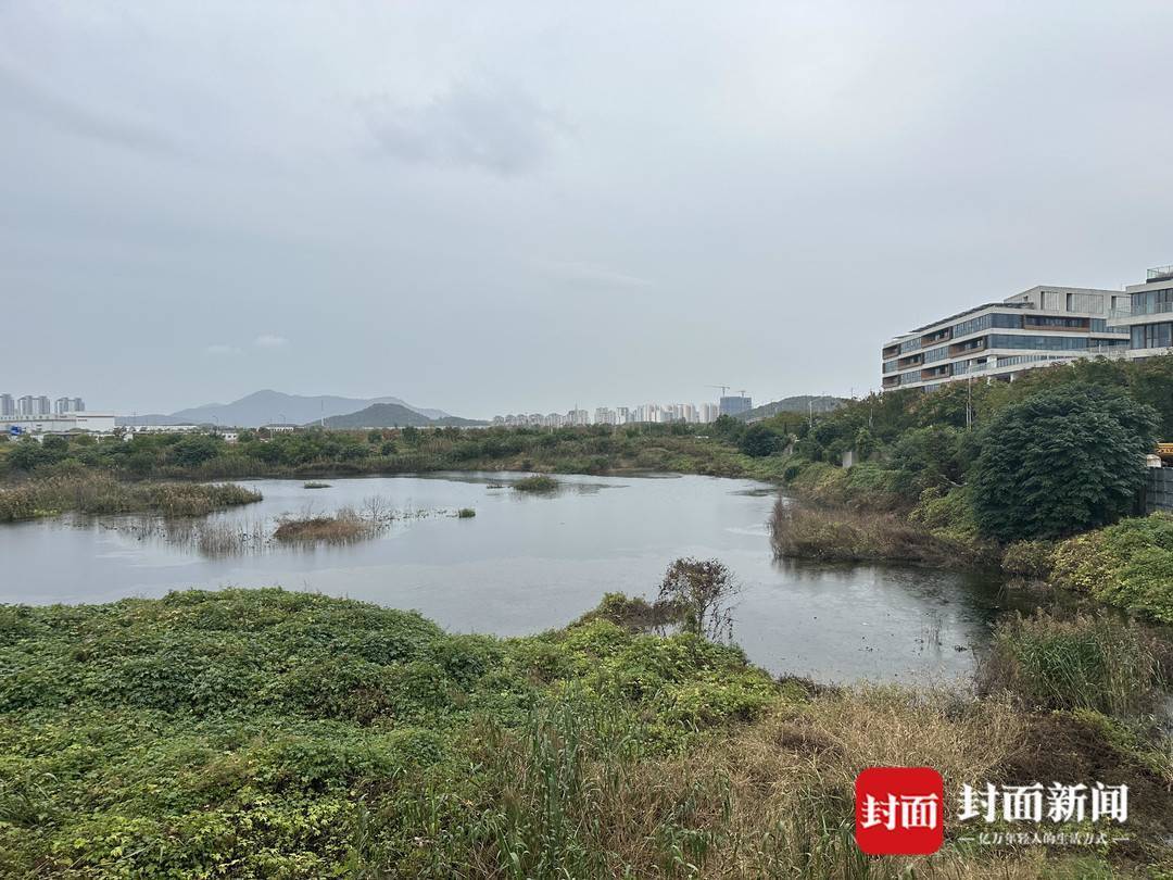 实地走访“百亿毒地”：区域内商业楼、学校空置 已入住业主担心房价下跌