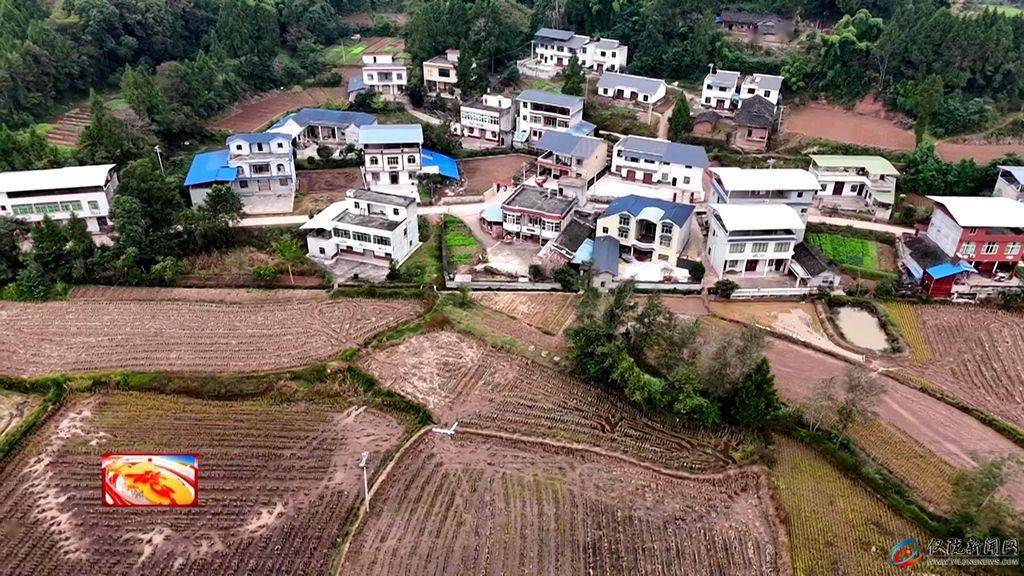 观紫张公:上足机械人力 全力以赴赶工期_观紫镇_建设_的项目