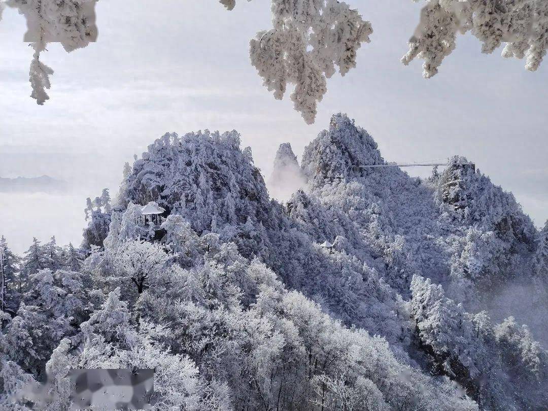 老界岭风景图片图片