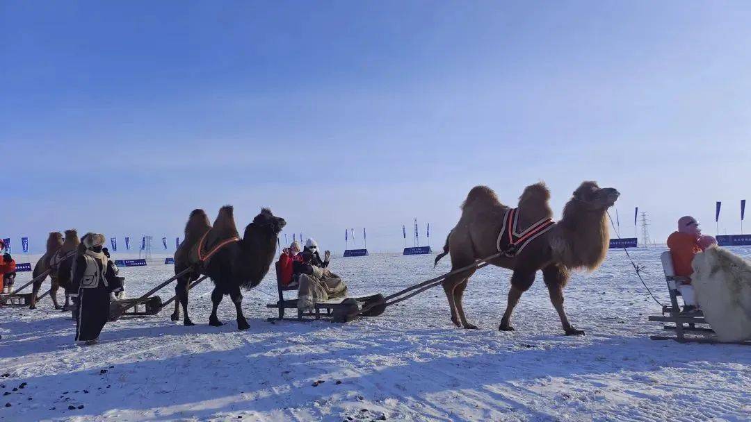 滑雪_雪地_根河
