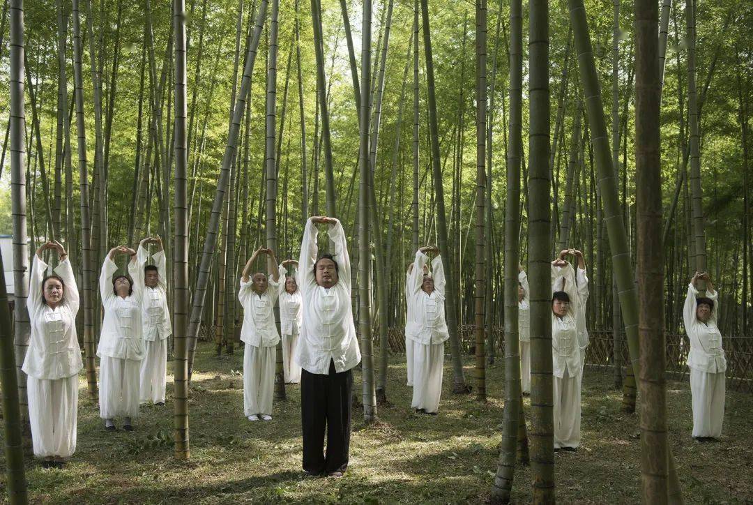 福建省柘荣县 杨常青 《竹林太极1》浙江省松阳县 何文胜 《采茶姑娘