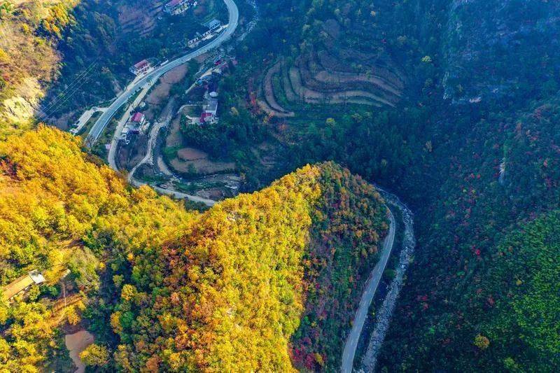 走进镇安|国道345美景如画 桃源湖碧水映红叶_安融媒_新闻_吴相阳