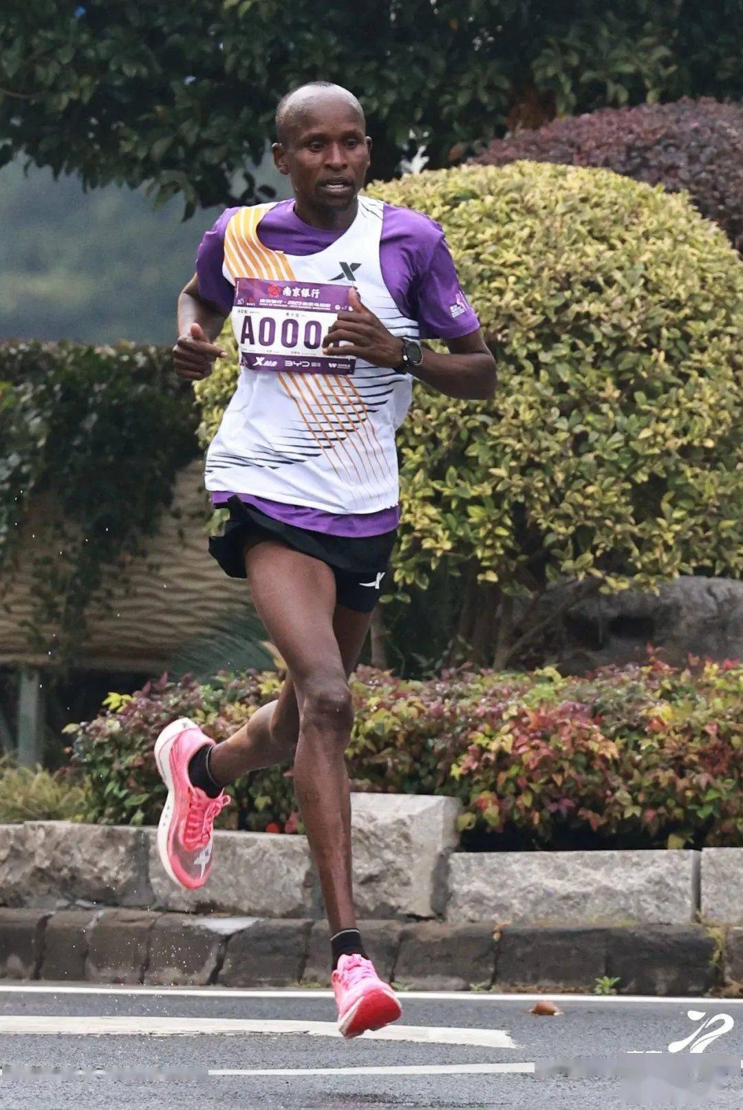 基普鲁普_小时_速度