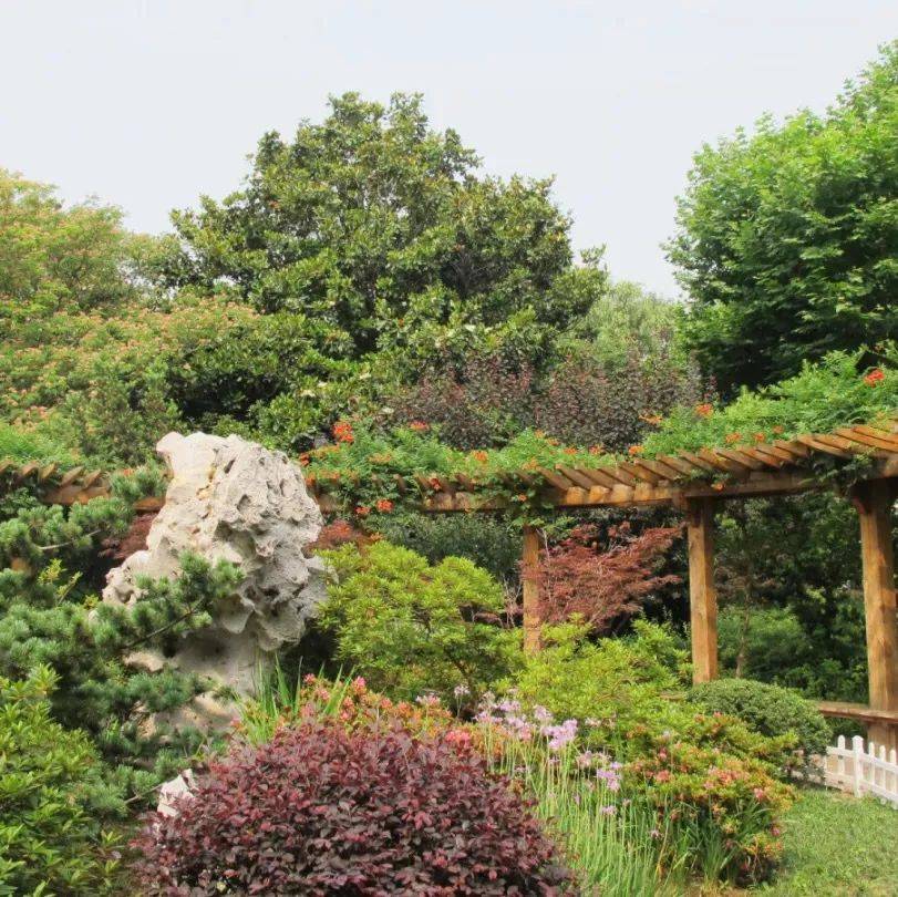 长风公园是普陀区区域内最大的区级公园,园景以湖水为主,山水结合.