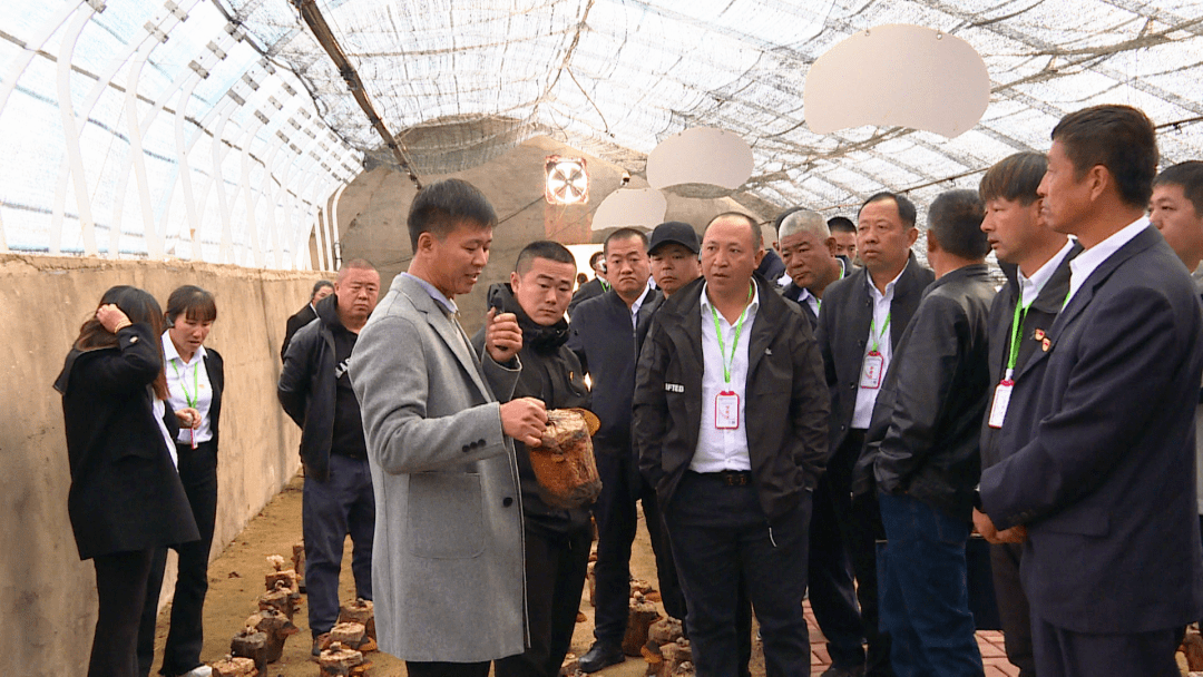 1984年出生的张德智,多年前离开繁华都市回到家乡,开始规模化非林地