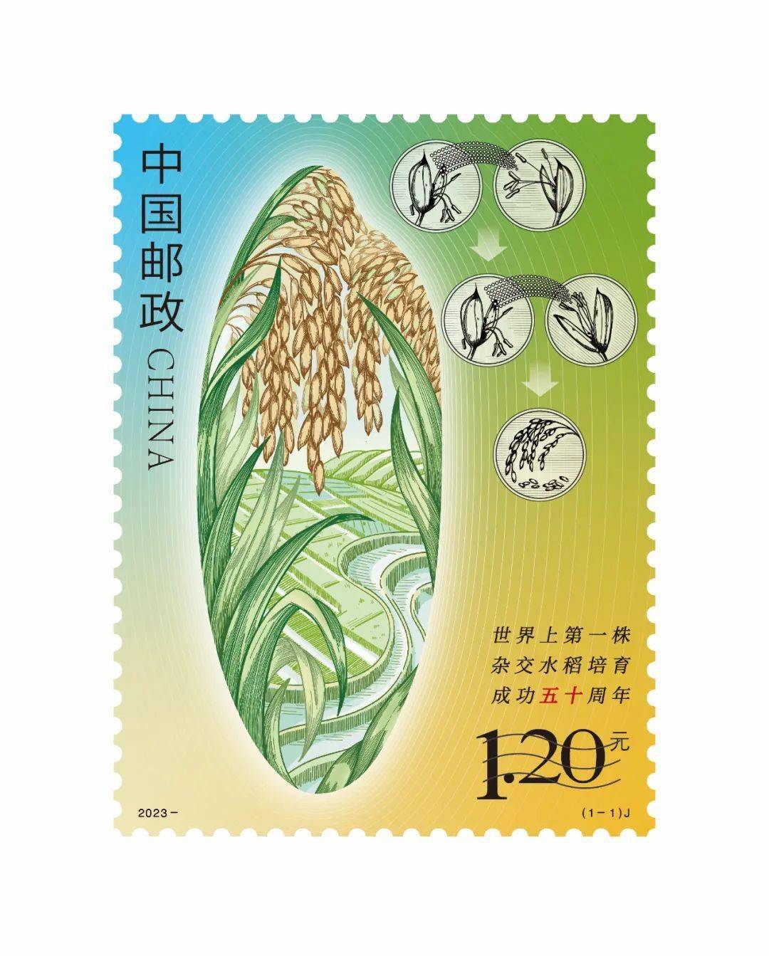 中国邮政《世界上第一株杂交水稻培育成功五十周年》纪念邮票正式发行