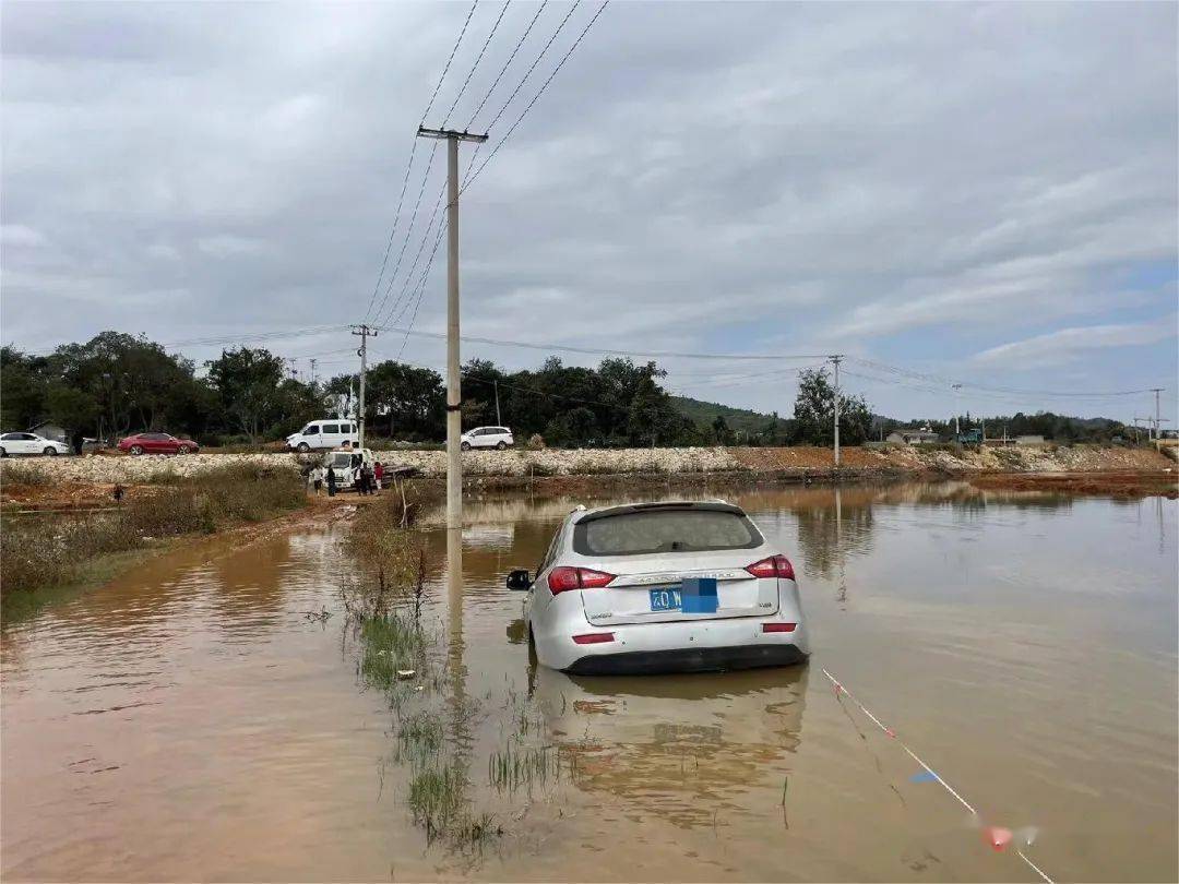 罗平一小轿车突然冲进水塘,车头被淹没._车辆_落水_车门