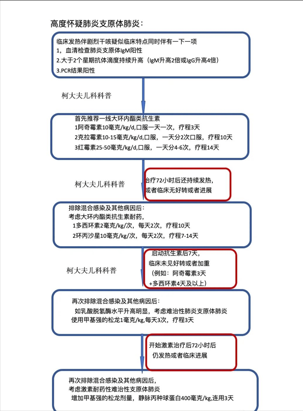 pcr步骤流程图图片