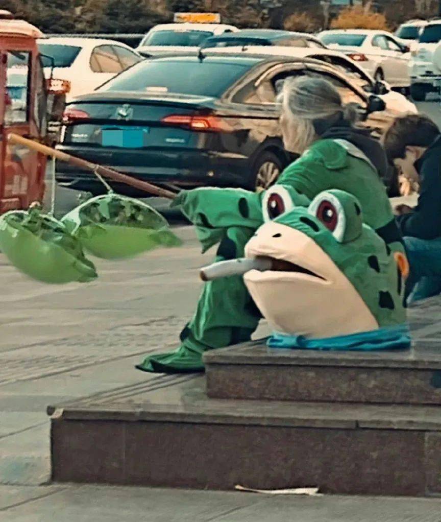 半年前火遍中国的"卖崽青蛙",已经开始在日本流浪了_生活_敬礼_视频