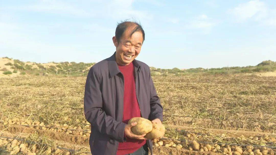 6万斤!靖边刘三虎成了"土豆王"_马铃薯_种植_机械化