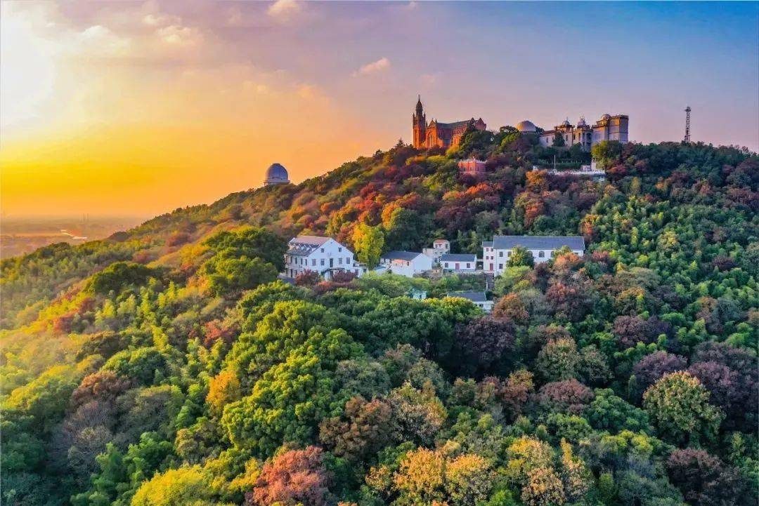 人文佘山|漫游山中寻秋趣,不登佘山,怎知秋色美如许?_秋意_景色_山林