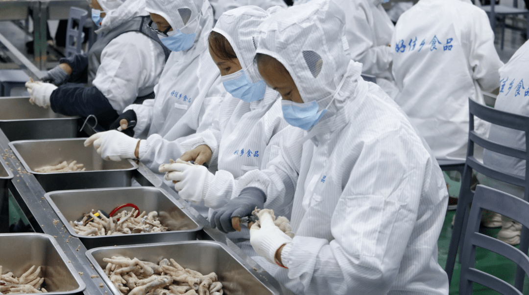 沙湾这家企业正式投产→_鸡爪_沙湾区_加工