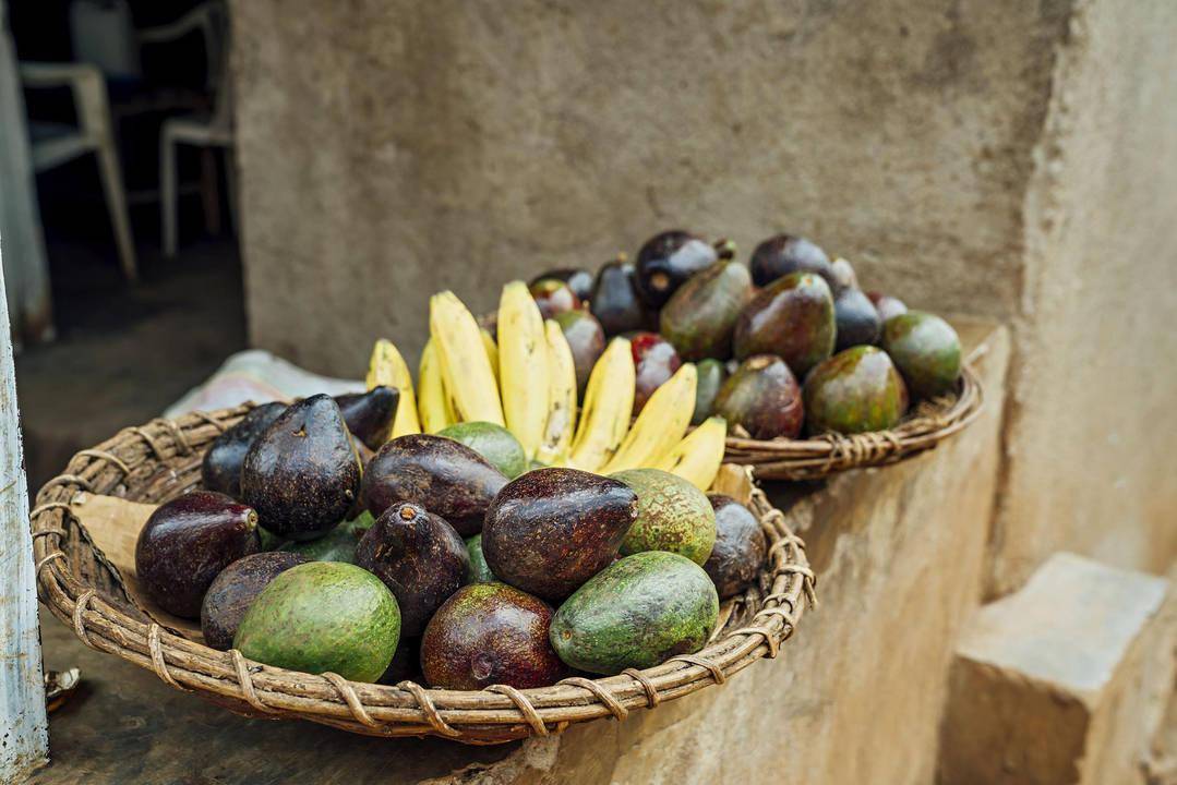 潮声丨不远万里,非洲水果奔向你