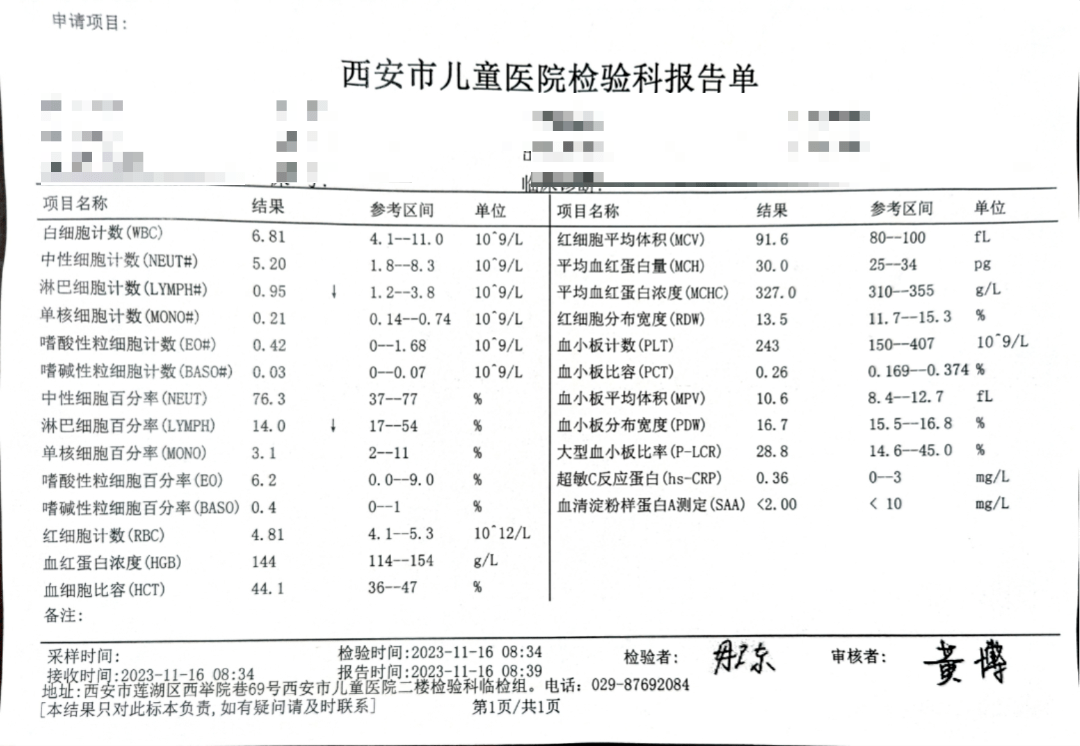 儿童血常规化验单图片图片